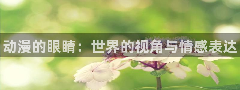 最新里番动漫网：动漫的眼睛：世界的视角与情感表达