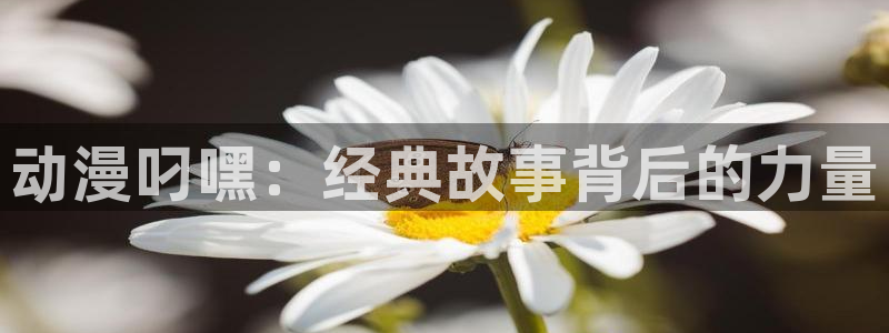 里番全彩少女本子漫画：动漫叼嘿：经典故事背后的力量