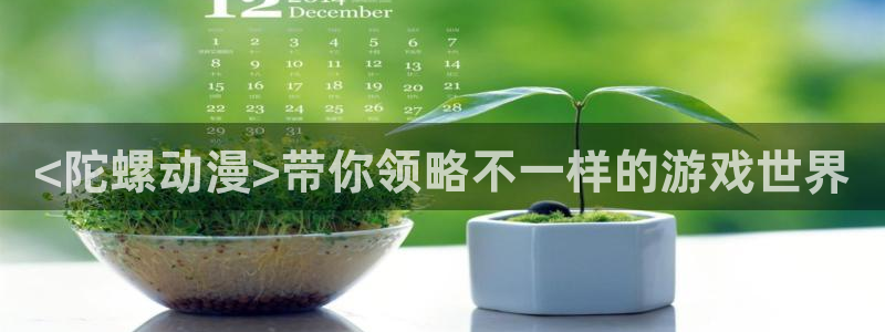 好看的里番推荐：<陀螺动漫>带你领略不一样的游戏世界