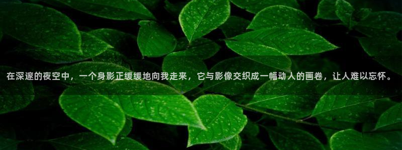 成人动漫里番：在深邃的夜空中，一个身影正缓缓地向我走来，它与影像交织成一幅动人的画卷，让人难以忘怀。
