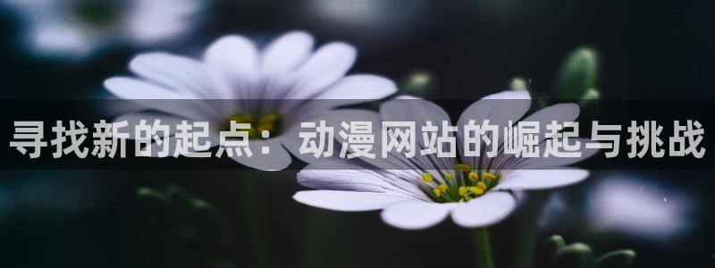 里番成人动漫在线观看：寻找新的起点：动漫网站的崛起与挑战