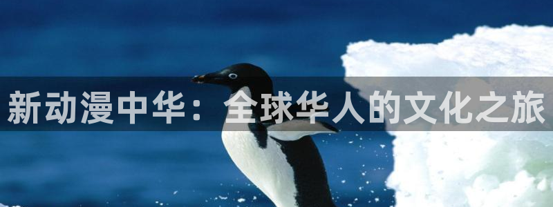 好看的动漫里番有哪些：新动漫中华：全球华人的文化之旅