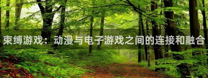 足控动漫里番：束缚游戏：动漫与电子游戏之间的连接和融合